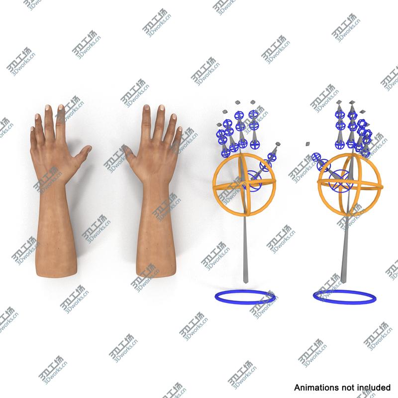 images/goods_img/2021040231/Man Hands Rigged/5.jpg